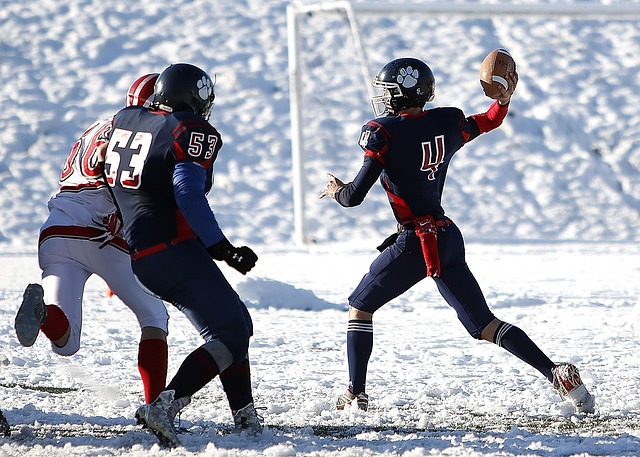 在体育的世 在体育的世